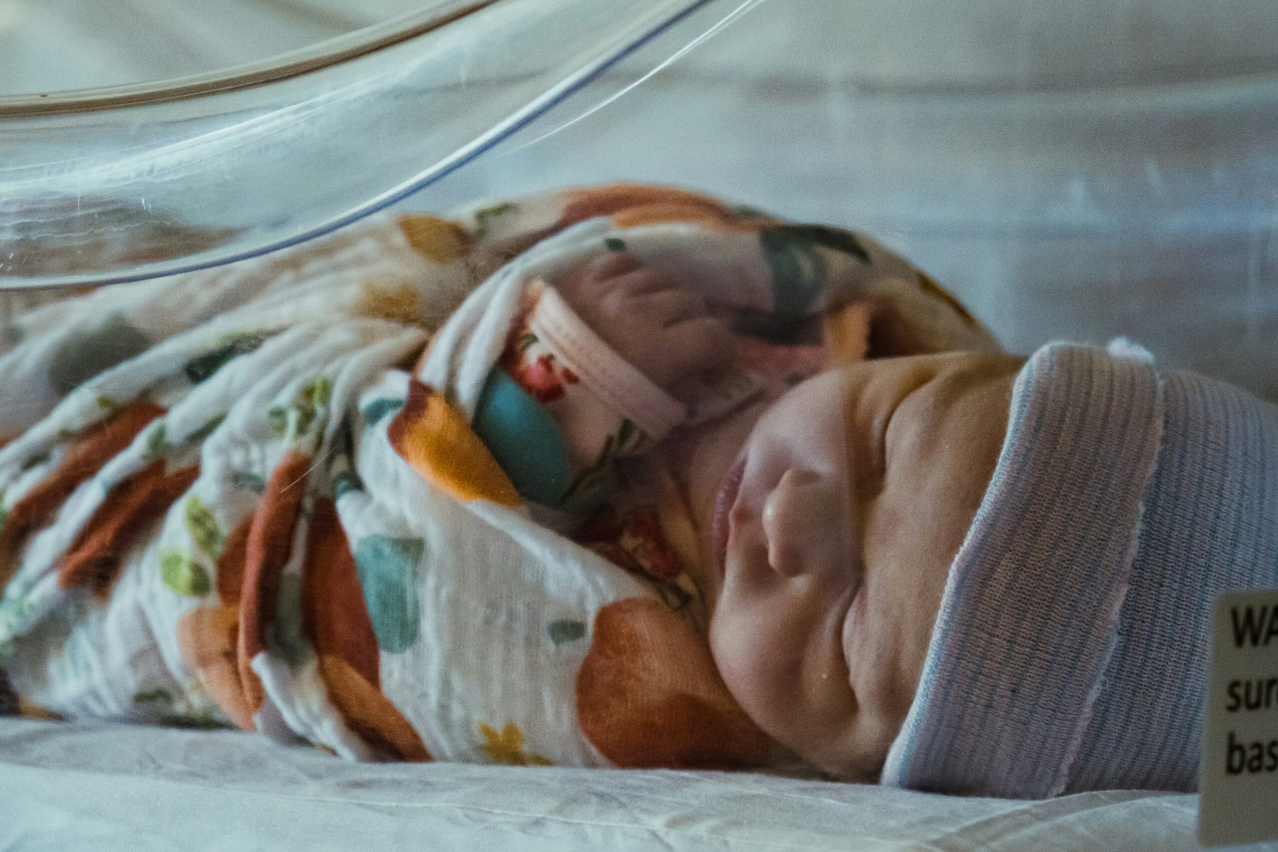 Foto von Olivia Anne Snyder auf unsplash.com